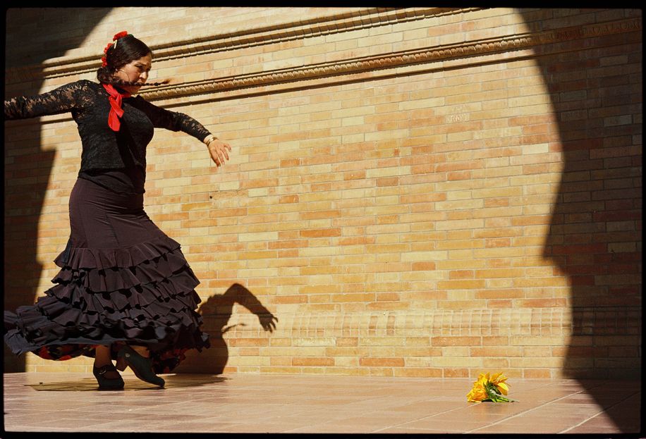 la danseuse de flamenco 1