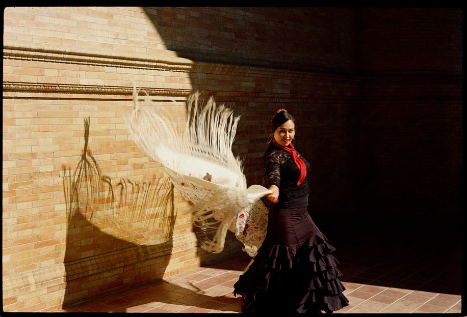 la danseuse de flamenco 2
