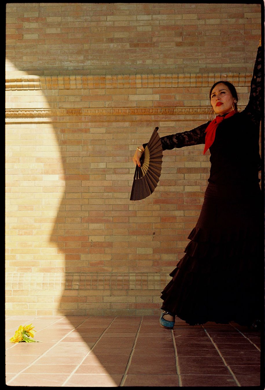 la danseuse de flamenco 3