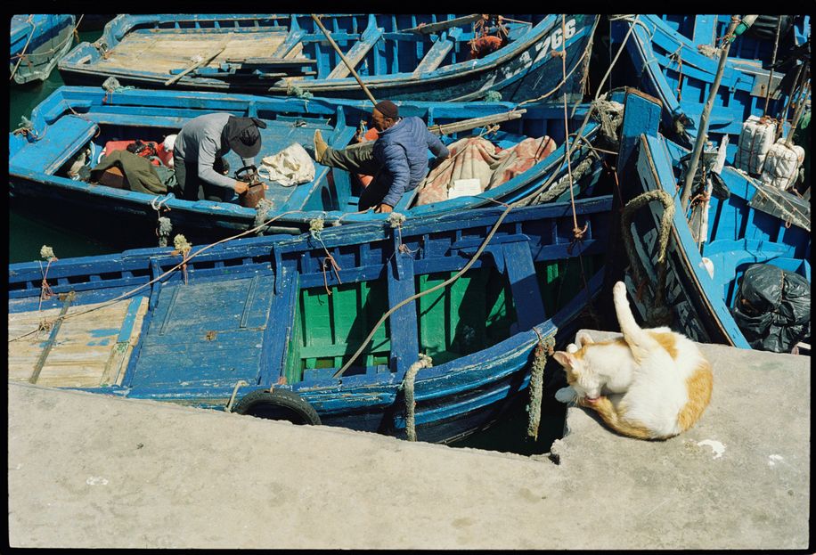 maroc 8