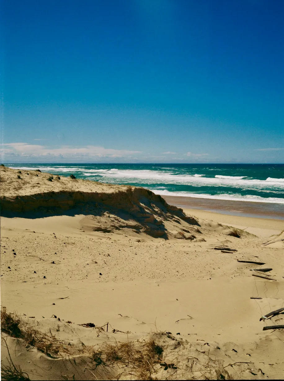 ocean-dune