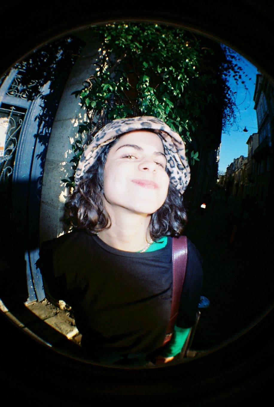 st-mich-fisheye-2